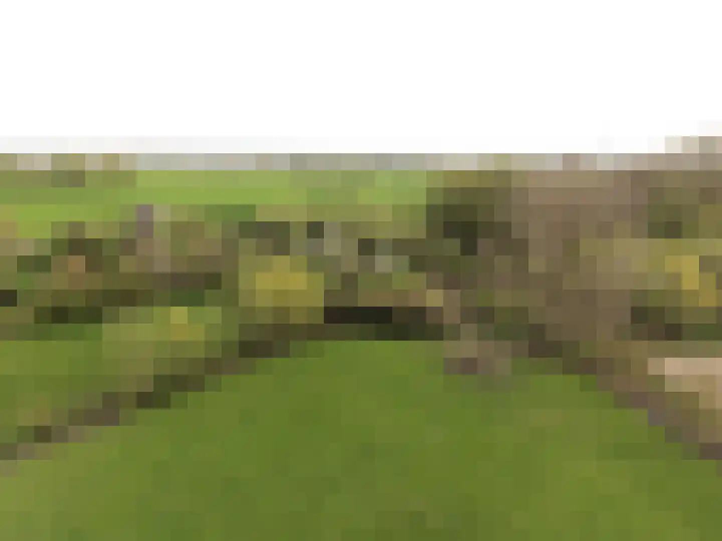 Biezenwaard 4 Winssen thumbnail 92