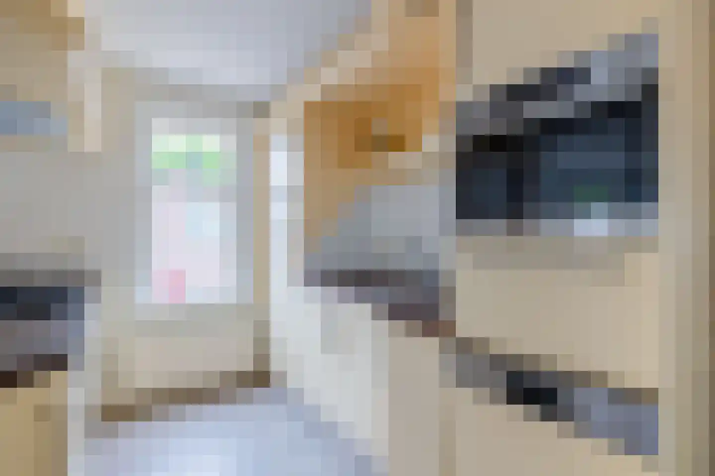 Biezenwal 2 A Oudewater thumbnail 15