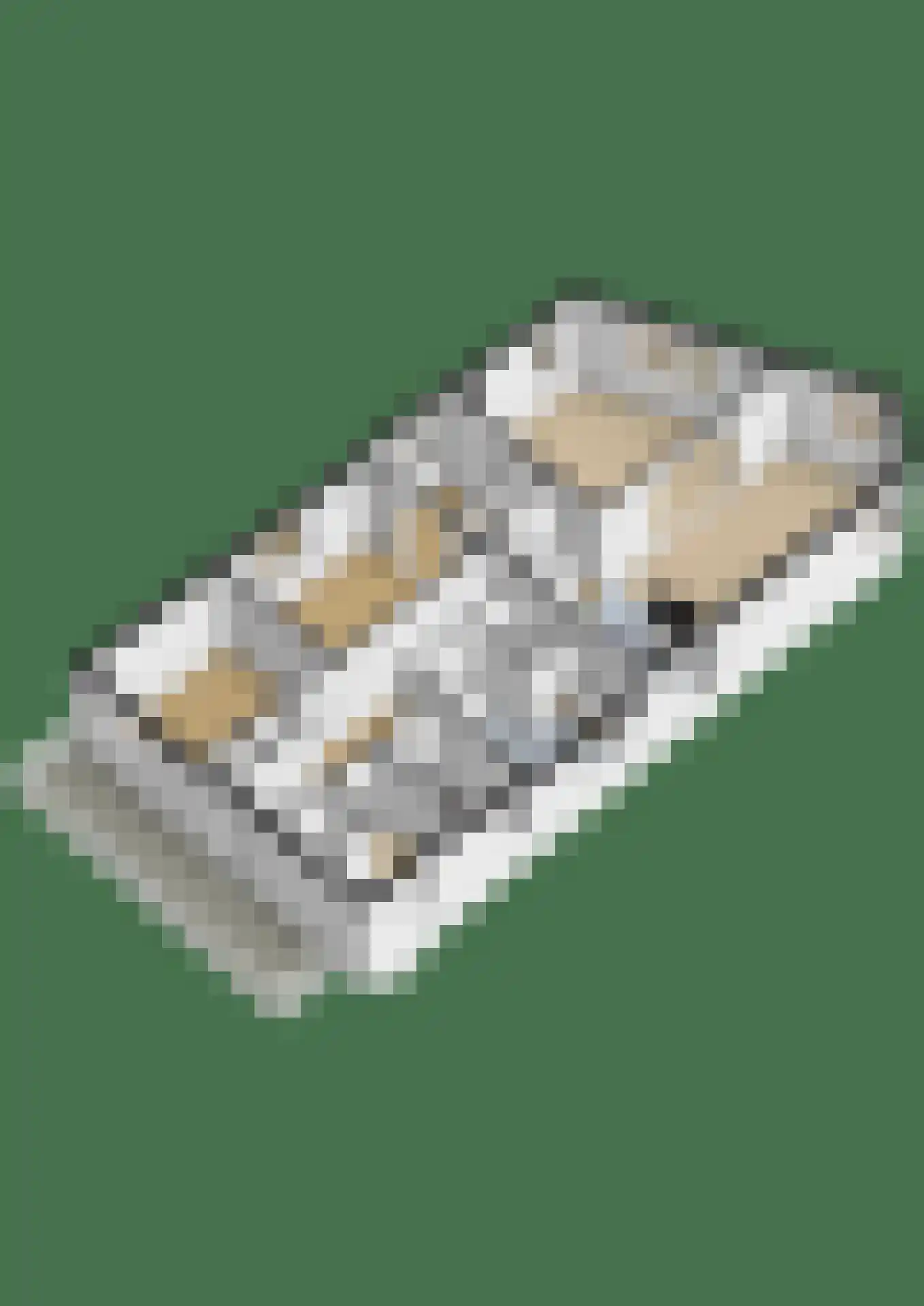 Biezenwal 2 A Oudewater thumbnail 36