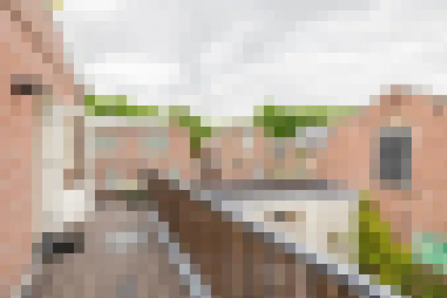 Biezenwal 2 A Oudewater thumbnail 4