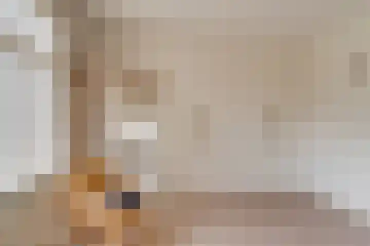 Biezenweg 11 Hagestein thumbnail 20