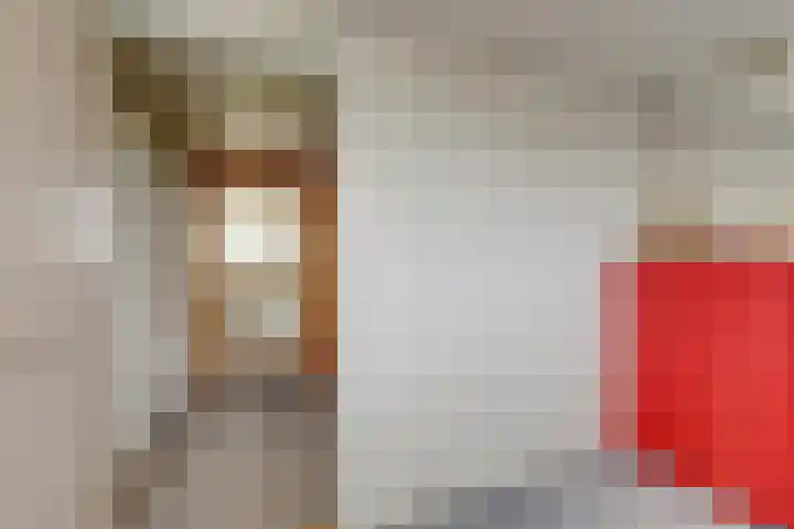 Biezenweg 11 Hagestein thumbnail 31
