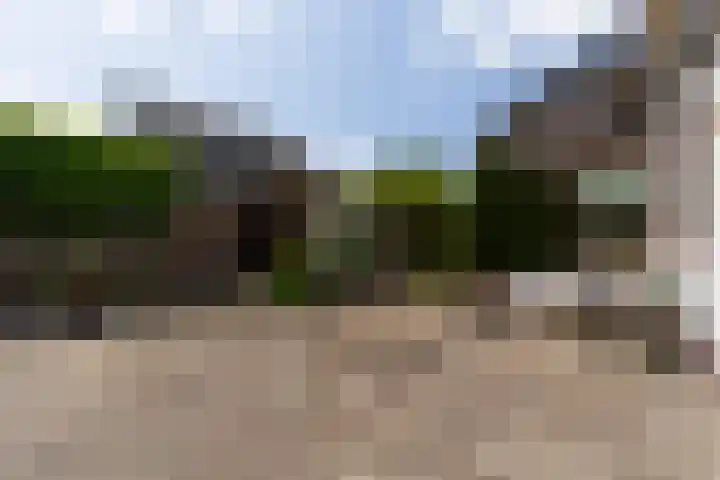 Biezenweg 11 Hagestein thumbnail 36