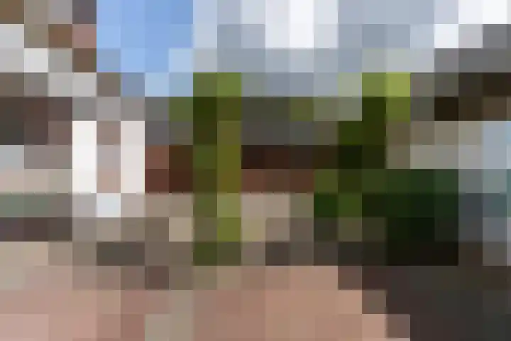 Biezenweg 11 Hagestein thumbnail 37