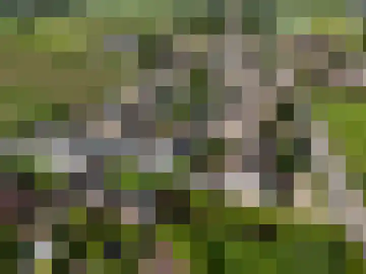 Biezenweg 11 Hagestein thumbnail 50