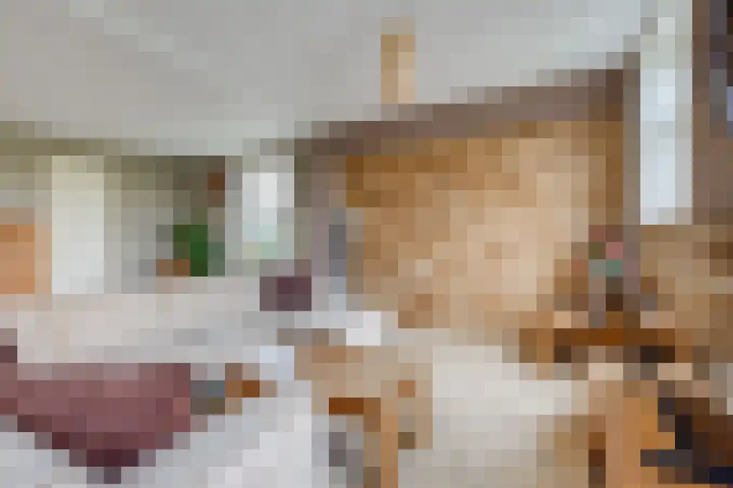Biezenweg 18 Hagestein thumbnail 13