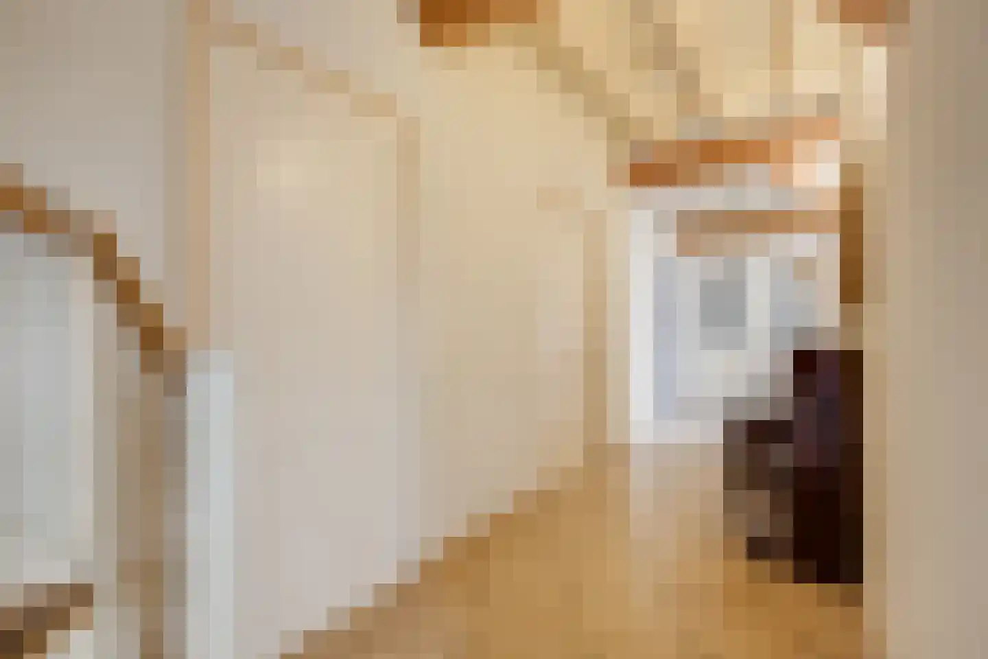 Biezenweg 18 Hagestein thumbnail 18