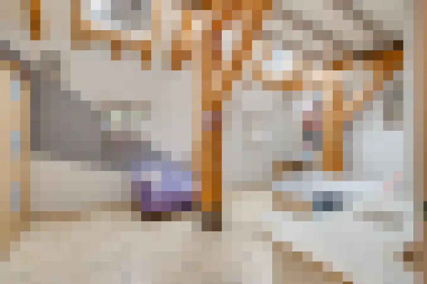 Biezenweg 18 Hagestein thumbnail 19