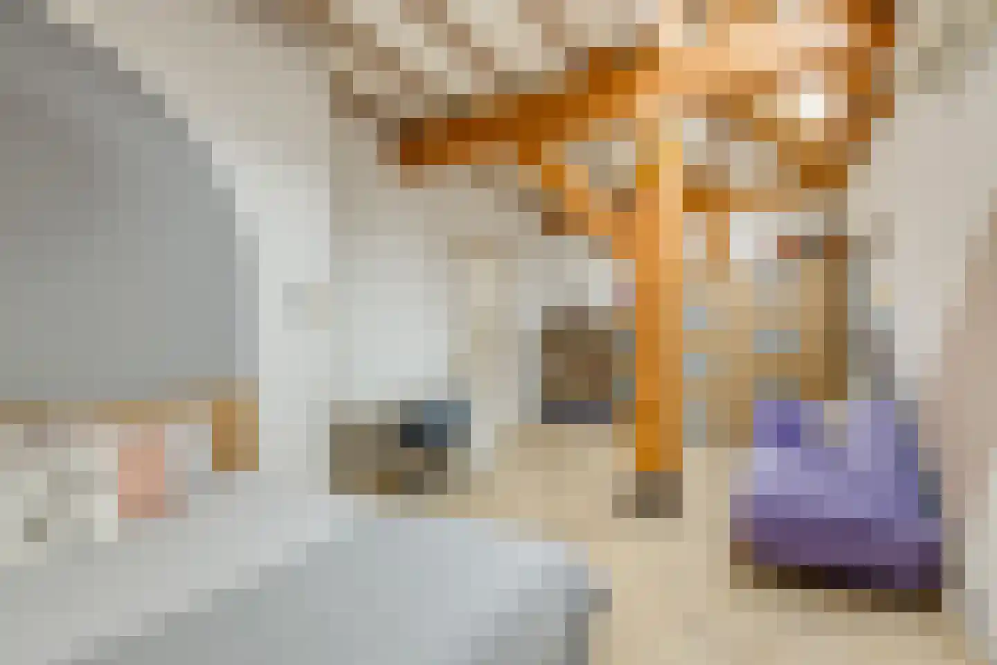 Biezenweg 18 Hagestein thumbnail 21
