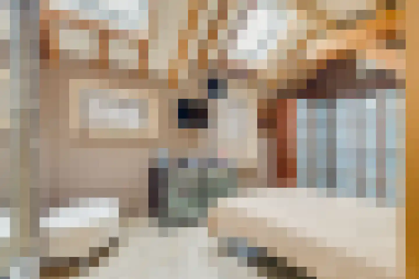 Biezenweg 18 Hagestein thumbnail 22