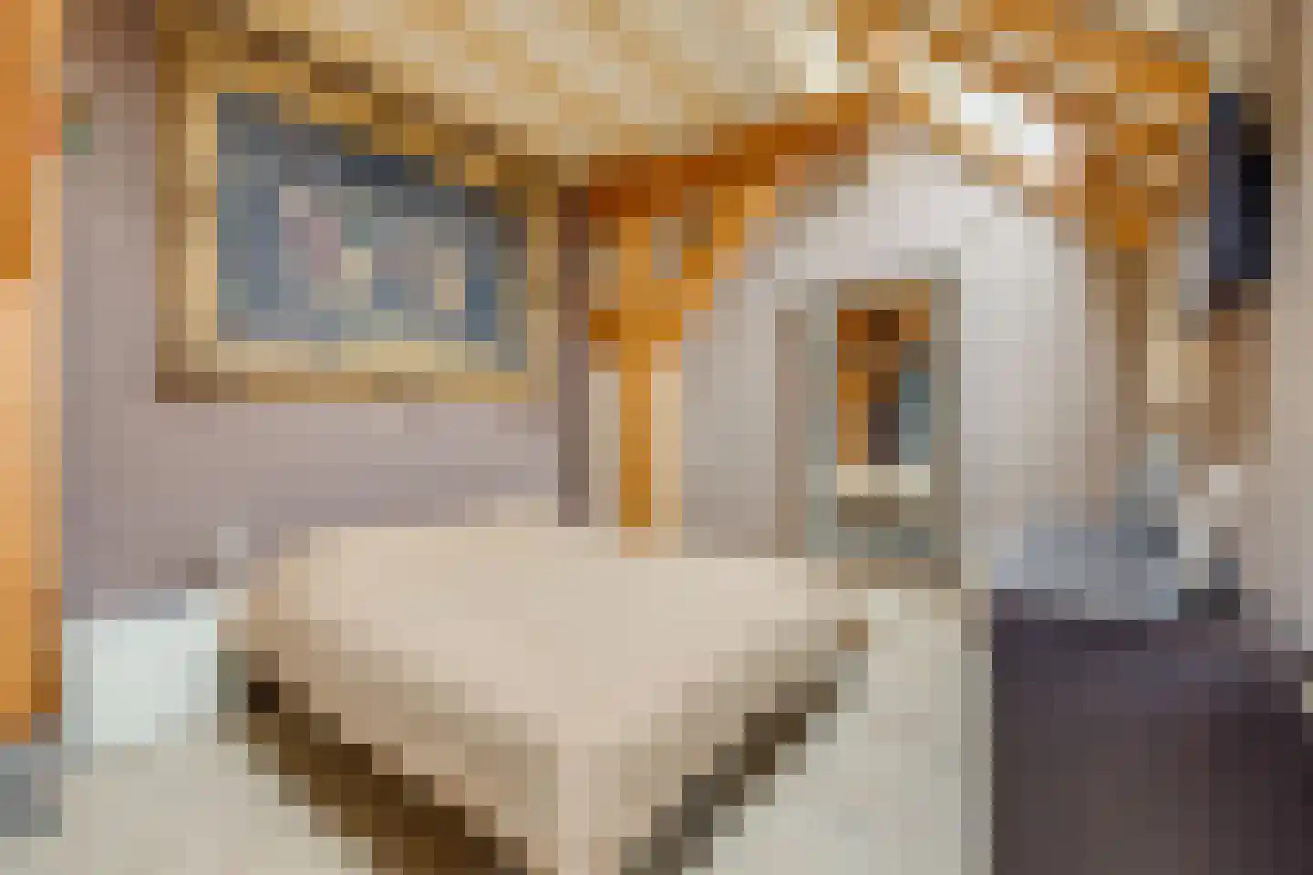 Biezenweg 18 Hagestein thumbnail 24