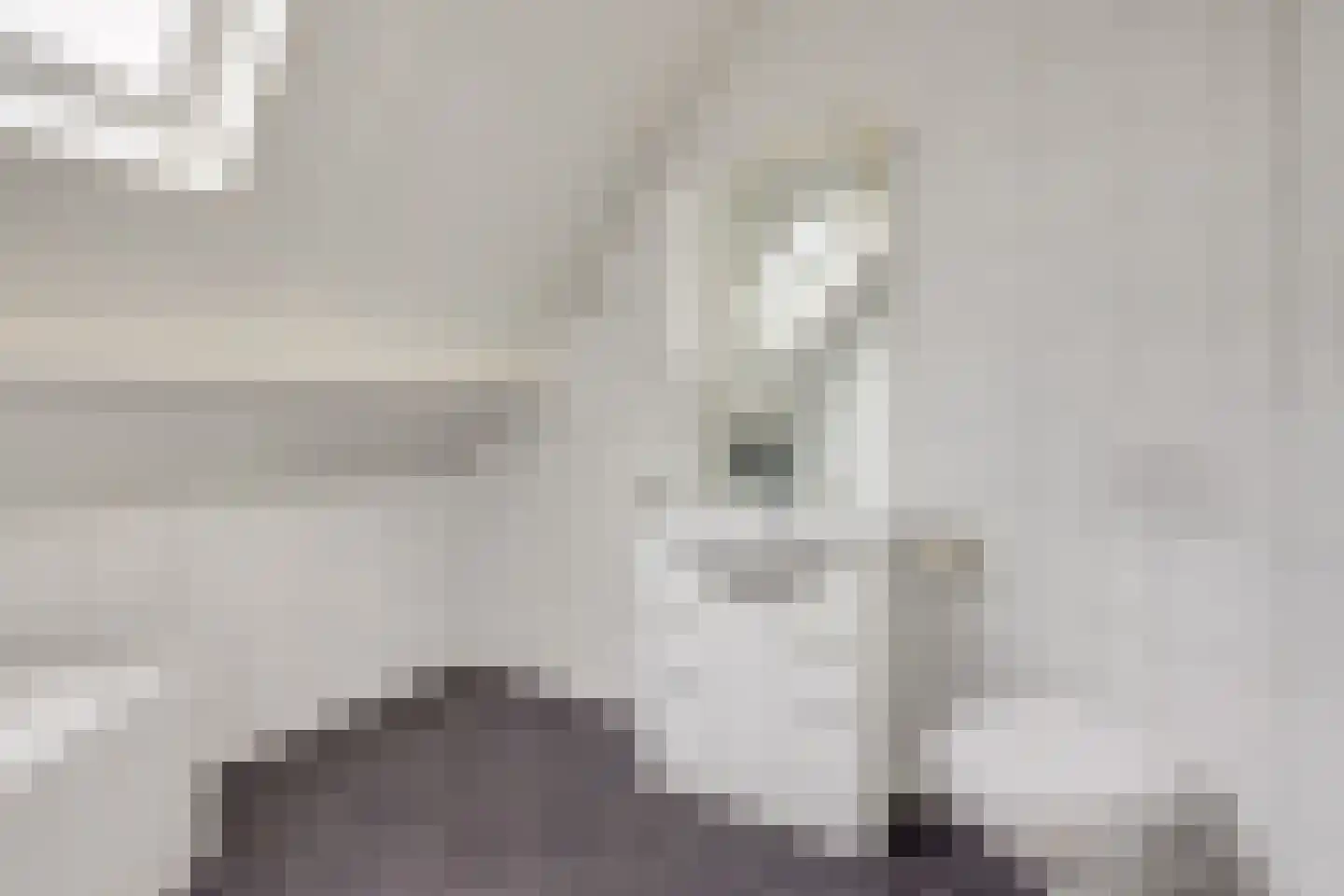 Biezenweg 18 Hagestein thumbnail 44
