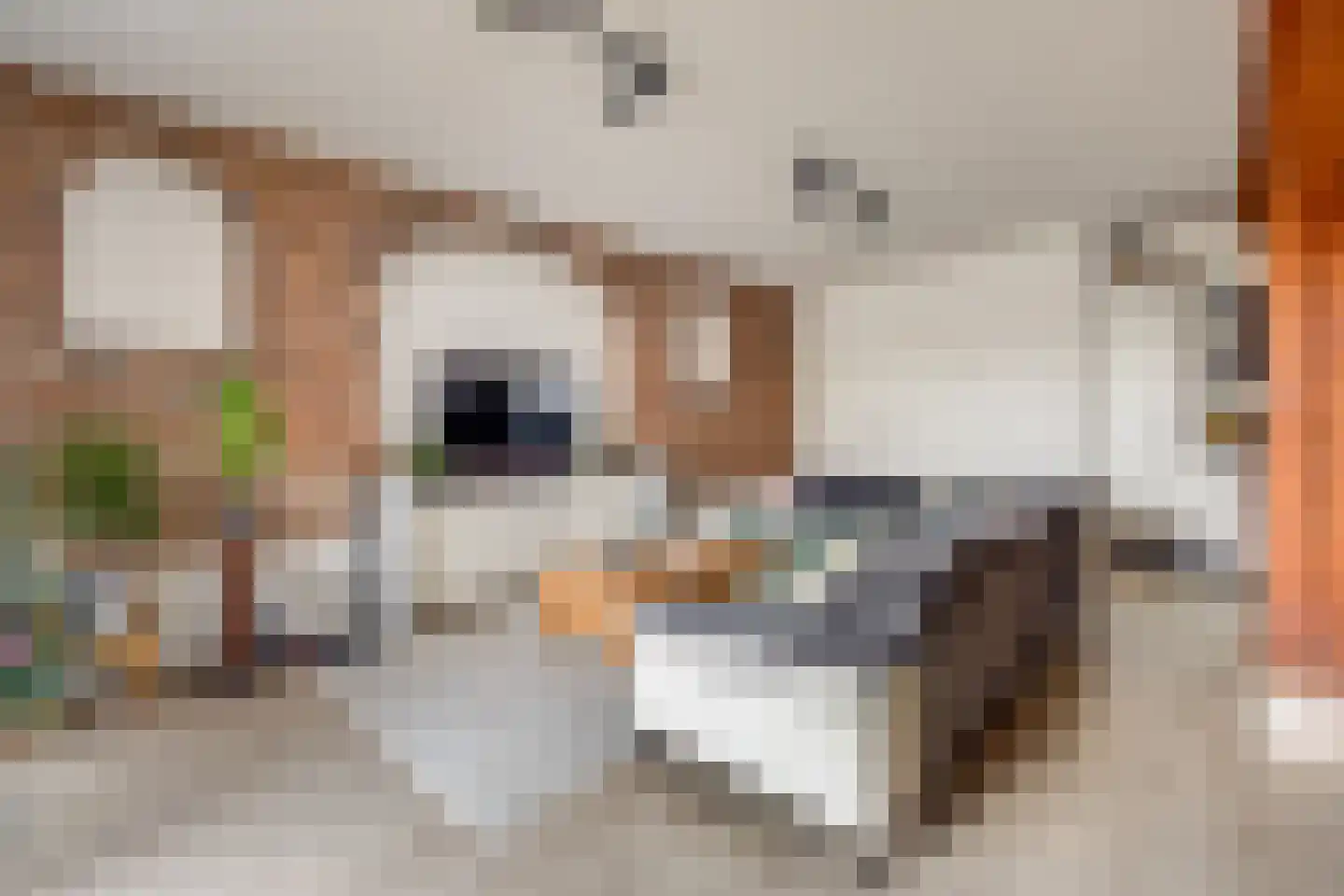 Biezenweg 18 Hagestein thumbnail 46