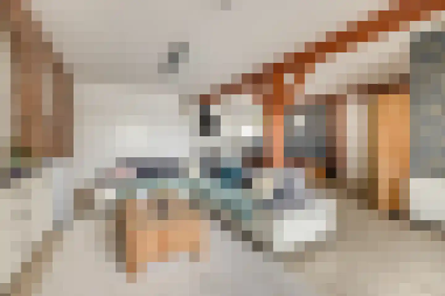 Biezenweg 18 Hagestein thumbnail 47