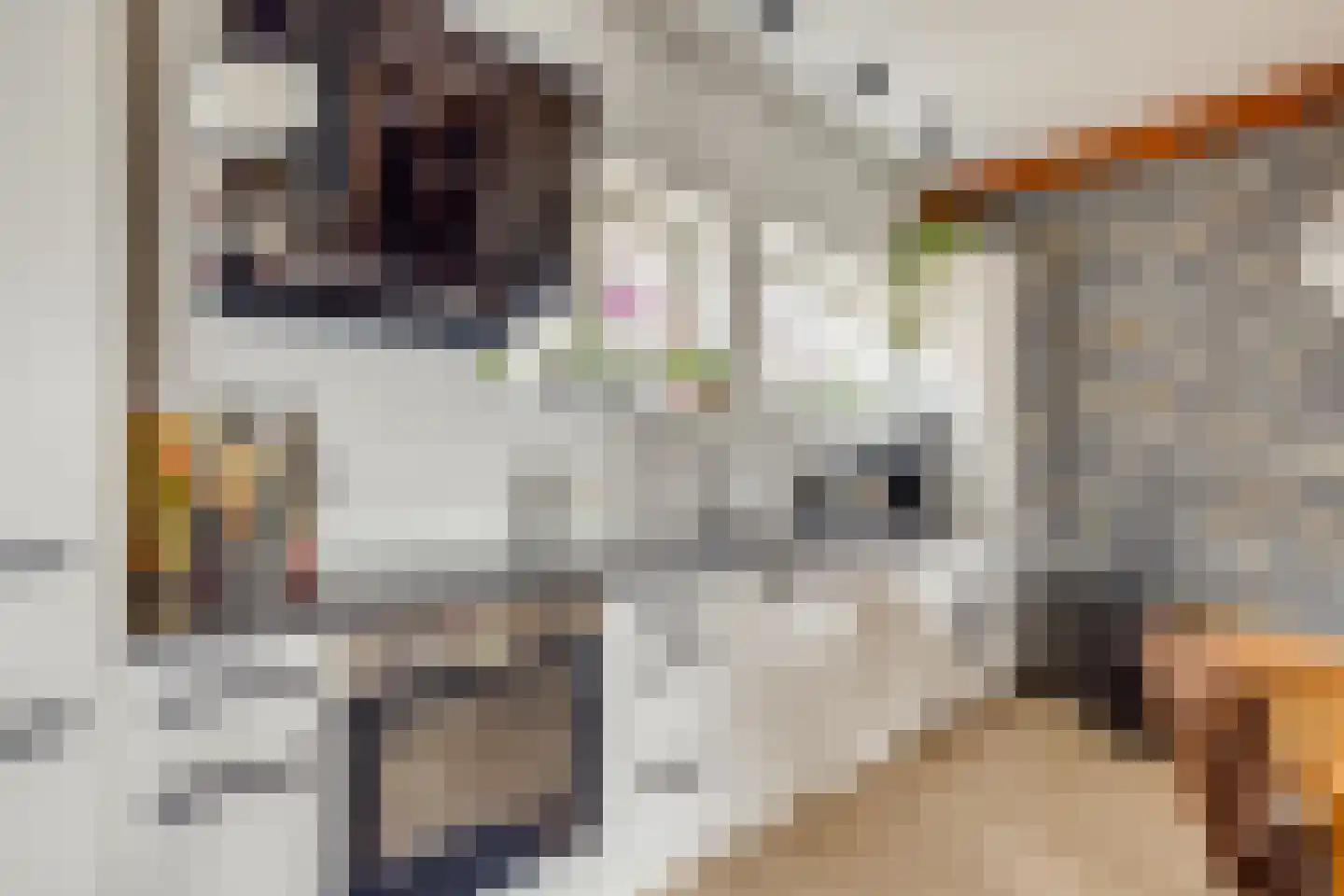 Biezenweg 18 Hagestein thumbnail 49
