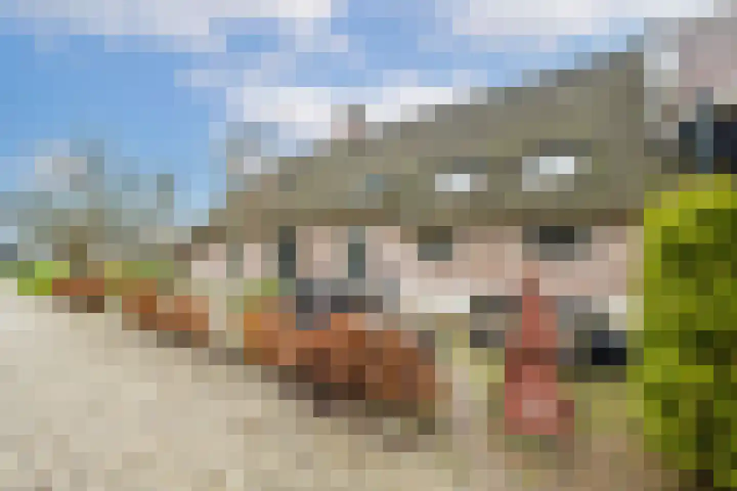 Biezenweg 18 Hagestein thumbnail 56