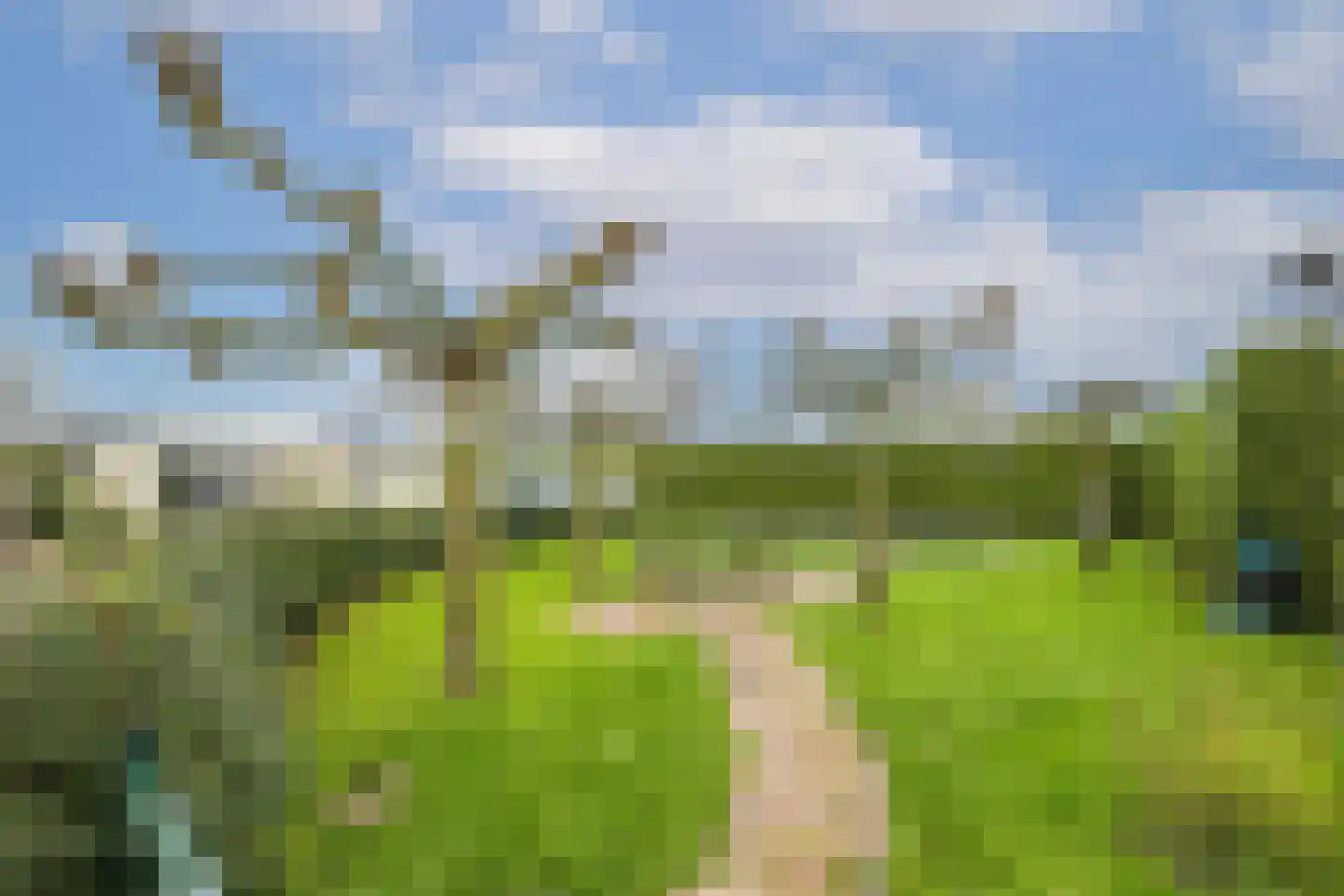 Biezenweg 18 Hagestein thumbnail 64