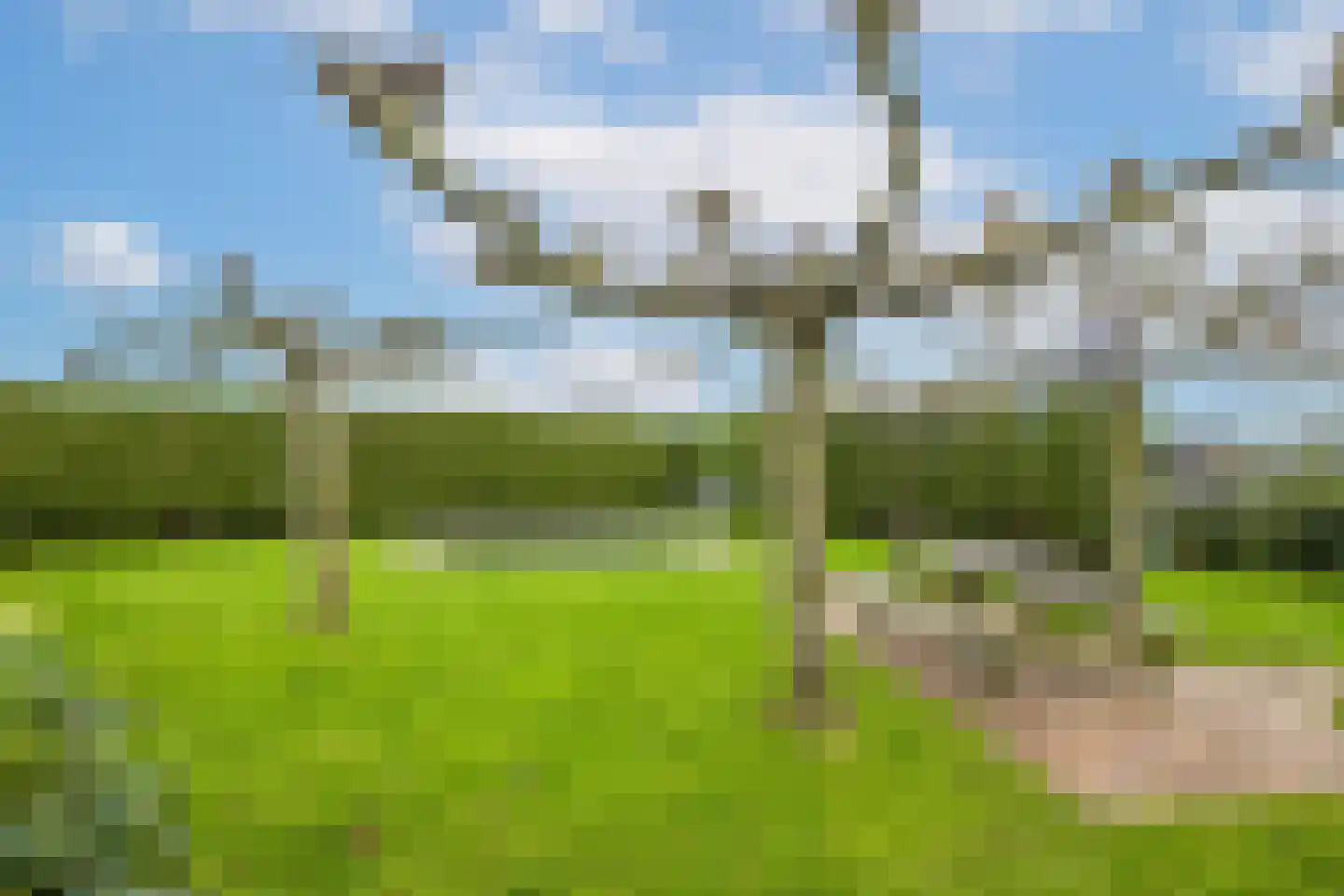 Biezenweg 18 Hagestein thumbnail 65