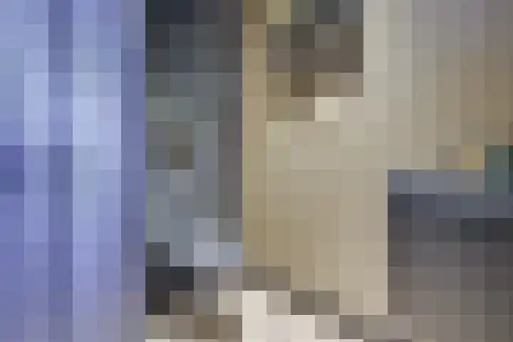 Biezenweg 8 a Hagestein thumbnail 10