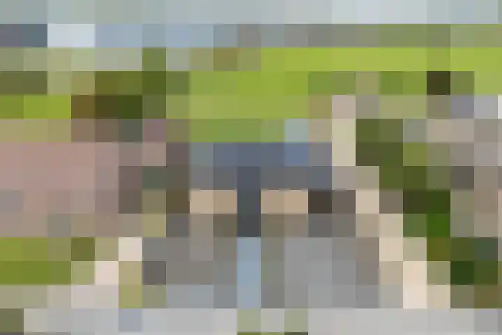 Biezenweg 8 a Hagestein thumbnail 100