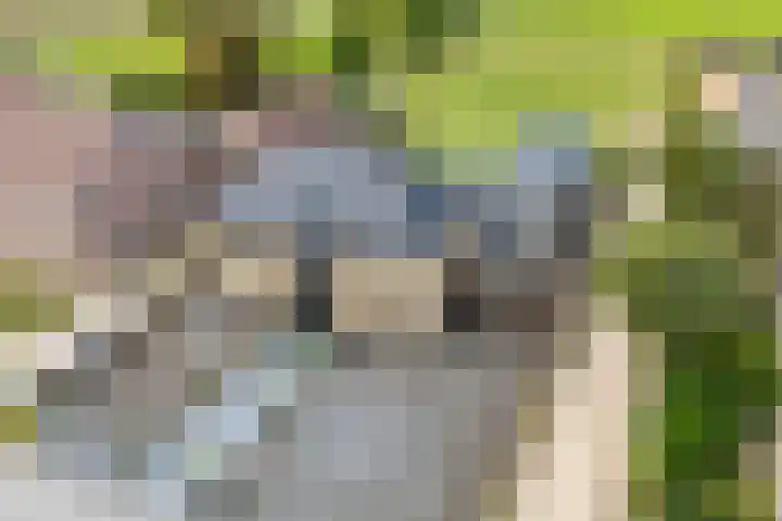Biezenweg 8 a Hagestein thumbnail 101