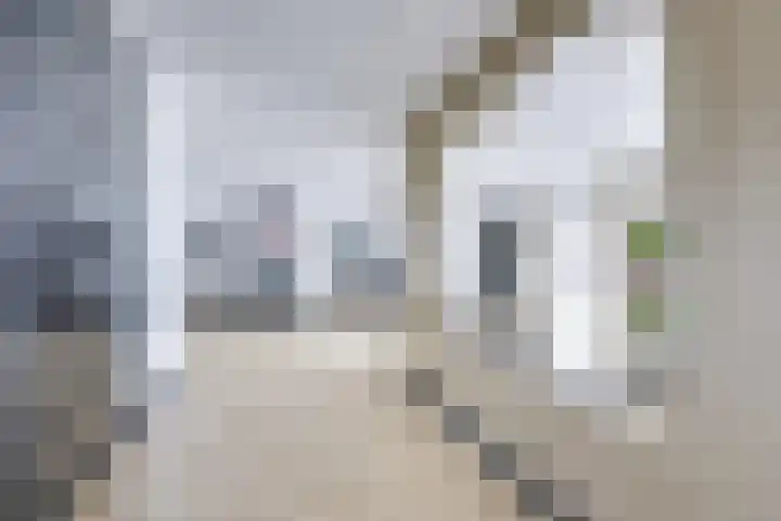 Biezenweg 8 a Hagestein thumbnail 13