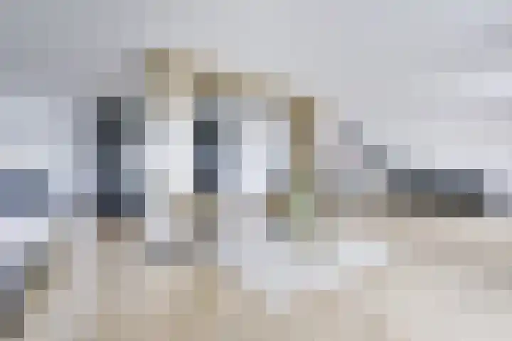 Biezenweg 8 a Hagestein thumbnail 15