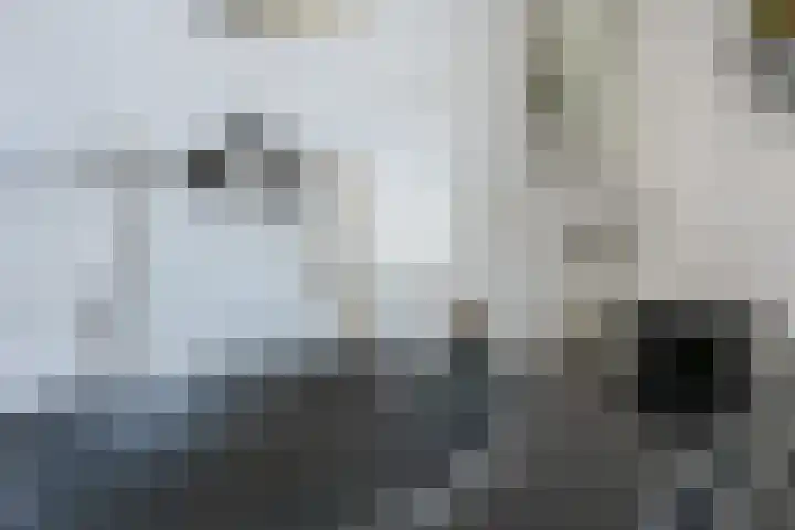 Biezenweg 8 a Hagestein thumbnail 62