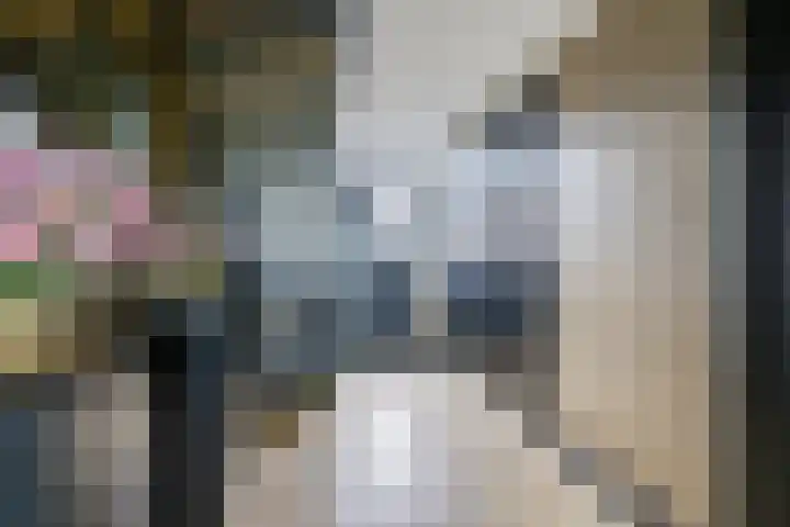 Biezenweg 8 a Hagestein thumbnail 7
