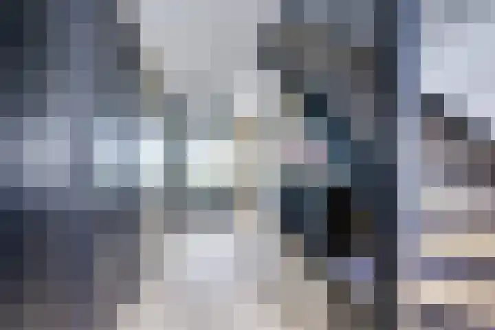 Biezenweg 8 a Hagestein thumbnail 8