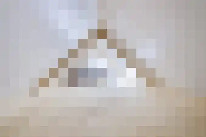 Biezenweg 8 a Hagestein thumbnail 81