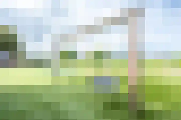 Biezenweg 8 a Hagestein thumbnail 87