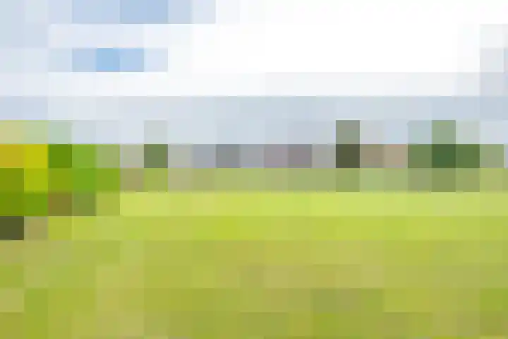 Biezenweg 8 a Hagestein thumbnail 88
