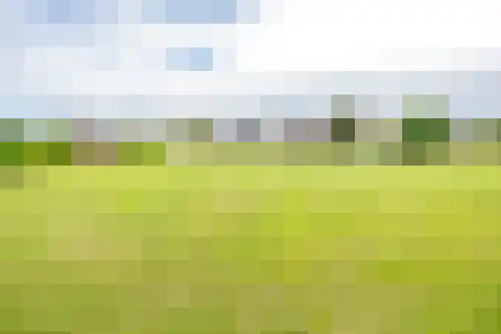 Biezenweg 8 a Hagestein thumbnail 89