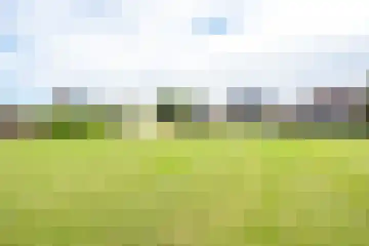 Biezenweg 8 a Hagestein thumbnail 90