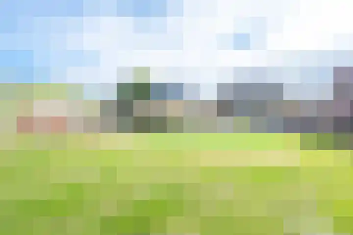Biezenweg 8 a Hagestein thumbnail 91