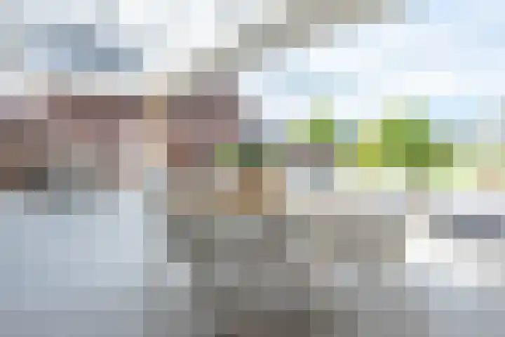 Biezenweg 8 a Hagestein thumbnail 92