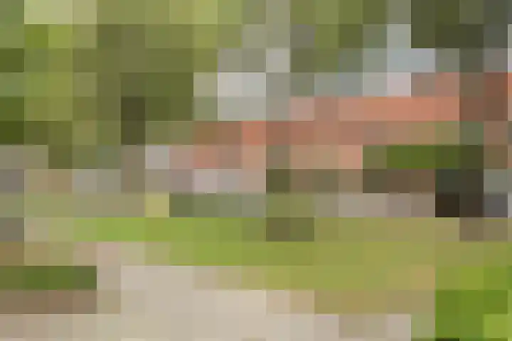 Biezenweide 16 Puttershoek thumbnail 31