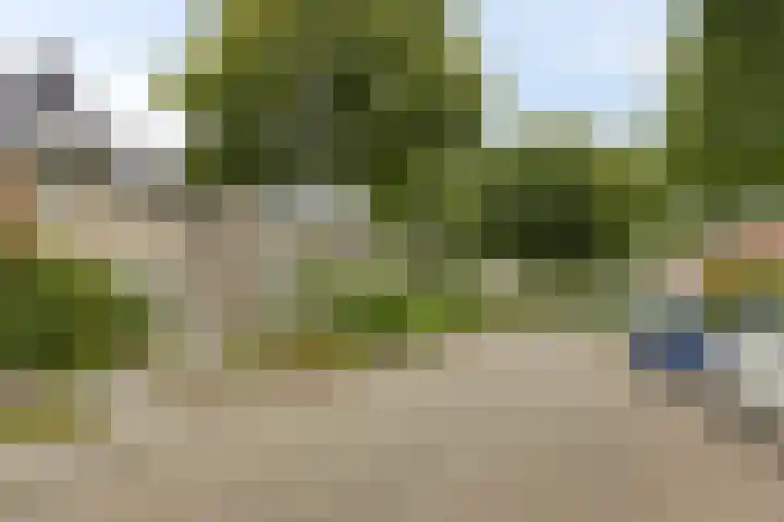 Biezenweide 16 Puttershoek thumbnail 5
