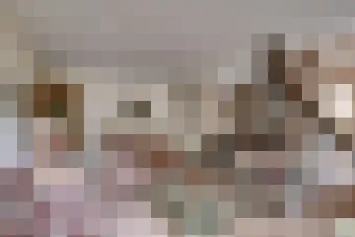 Biezenweide 24 Zevenaar thumbnail 12
