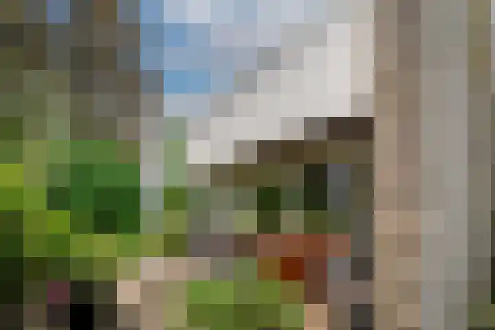 Biezenweide 24 Zevenaar thumbnail 17