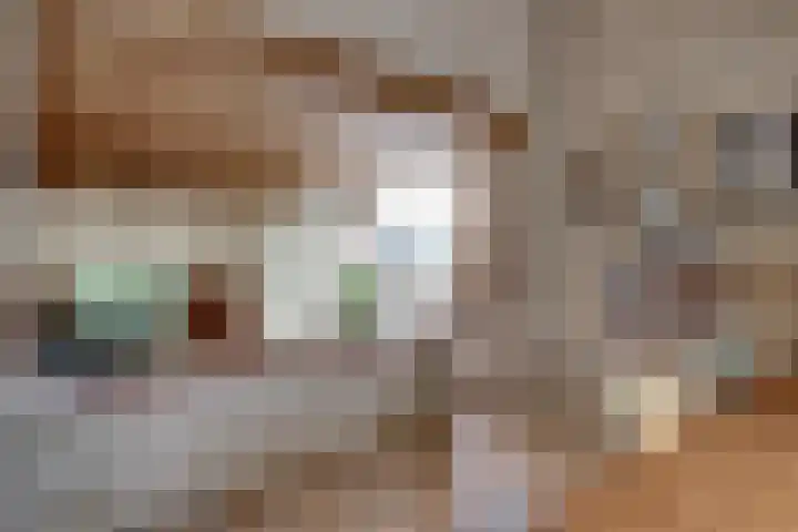 Biezenweide 24 Zevenaar thumbnail 18