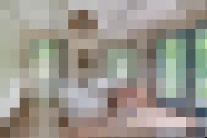 Biezenweide 24 Zevenaar thumbnail 22