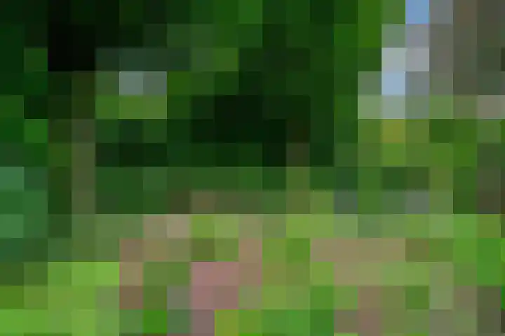 Biezenweide 24 Zevenaar thumbnail 30