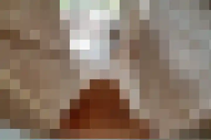Biezenweide 24 Zevenaar thumbnail 33