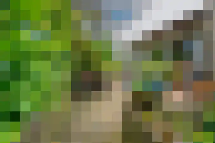 Biezenweide 24 Zevenaar thumbnail 44