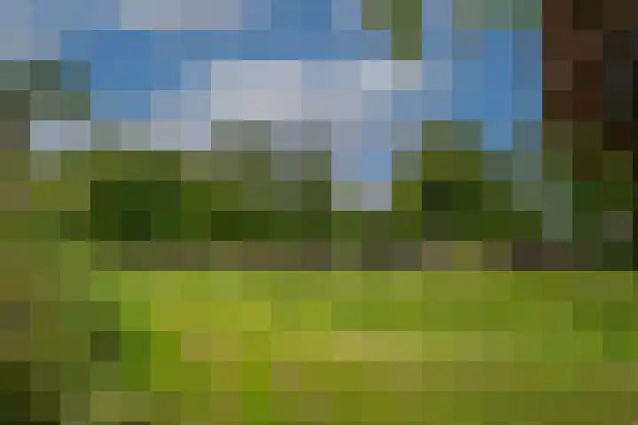 Biezenweide 24 Zevenaar thumbnail 47