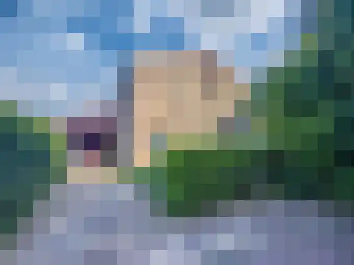 Biezenweide 24 Zevenaar thumbnail 54