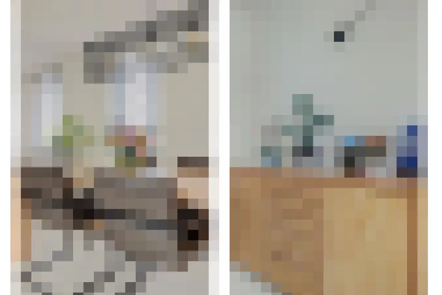 Biezenweide 4 Hendrik-Ido-Ambacht thumbnail 13