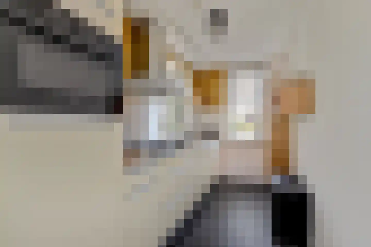 Biezenweide 4 Hendrik-Ido-Ambacht thumbnail 14
